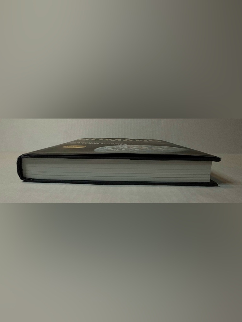 Humans Hardcover Book by Brandon Stanton - Picture 9 of 10